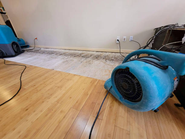 Professional Structural Drying technician working in Columbus, IN